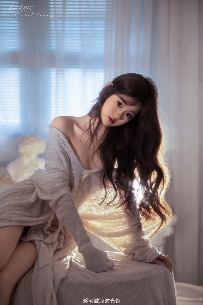 巡回检察组