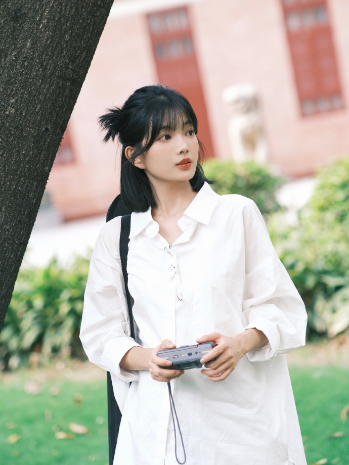 布里奇顿 封面