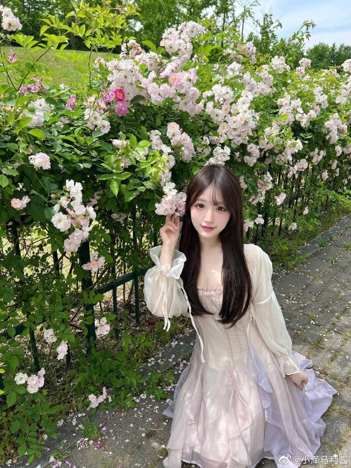 资深演员艾德·哈里斯炮轰《黄石》衍生剧：角色被忽视，要求退出拍摄